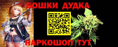 мдпв Будённовск