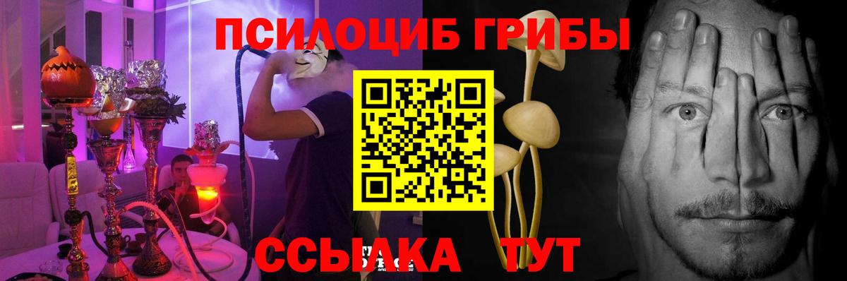 Галлюциногенные грибы Psilocybine cubensis  Вход с VPN  Махачкала 